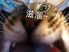 -合肥野生动物园
