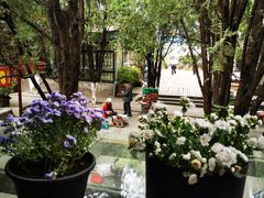 -蓝壁虎咖啡酒馆