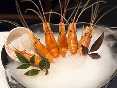 -桂满陇·海市蜃楼·黑金(国金店)