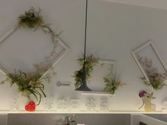 -春树下·树屋花房西餐厅(罍街AS1980店)