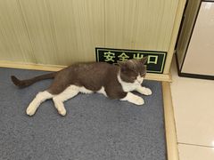 -瑞鹏宠物医院·爱宠堂(环西分院)