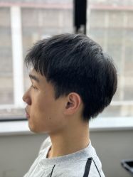 -蚂蚁造型沙龙