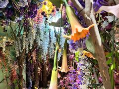 -正佳雨林生态植物园