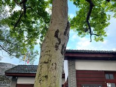 -蒋经国旧居