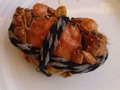 -青岛即墨希尔顿逸林酒店·開自助餐厅