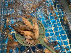-争先鲜·蒸汽海鲜自助·鲜切牛肉