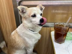 -万煲旺·香港老传承煲仔饭·猪杂汤(客村店)