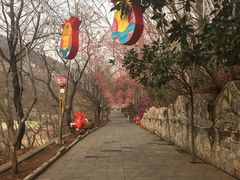 -青檀寺景区