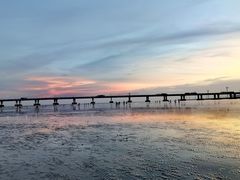 -南汇新城海滩