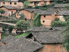-杨家堂村
