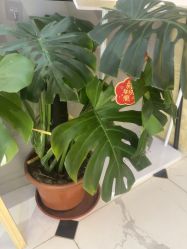 -爱空间美睫健康美甲