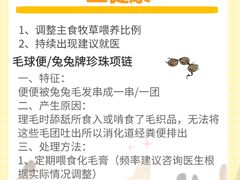 -猫猫幼稚园·撸猫·桌游·电玩