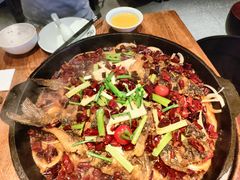 老板恋上鱼-老板恋上鱼(高新万达店)