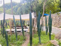 -MOJ coffee(瓯海泽雅水碓坑店)