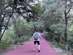 -敬亭山风景名胜区