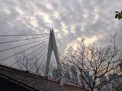 -重庆市奥林匹克体育中心-游泳跳水馆