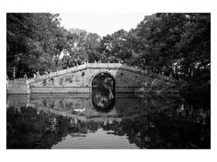 -普陀山风景名胜区-法雨禅寺