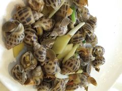 吉香炭烤生蚝-吉香碳烤生蚝(仙霞路店)