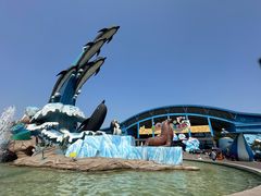 -泉城欧乐堡海洋极地世界