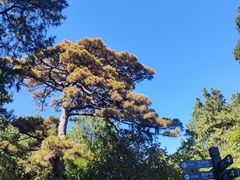 -香山公园