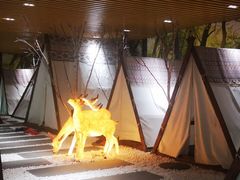 -东方之珠洗浴休闲广场(南开店)