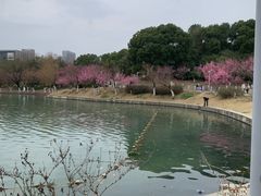 -天鹅湖体育公园