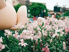 -上海迪士尼度假区