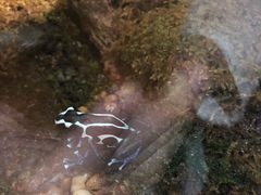 -暹罗海洋世界