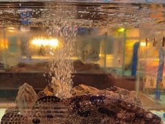 -阿伟海鲜楼·福建菜(延寿店)