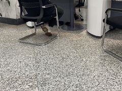 -中国电信(四川北路营业厅)