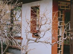 -趵突泉景区