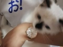 -甄爱宠物医院(疏影路店)