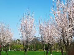 -无锡市市民中心