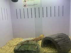 -昆明大悦城未来动物城(螺蛳湾中心店)