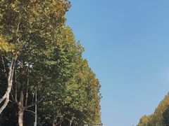 -颐和路民国时期公馆风貌区