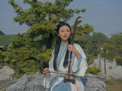 -王借岗森林公园