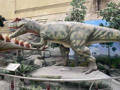 -国家自然博物馆