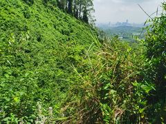 -水濂山森林公园