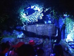-蓬莱欧乐堡海洋极地世界