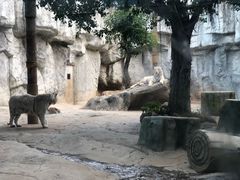 -灵玲国际马戏城