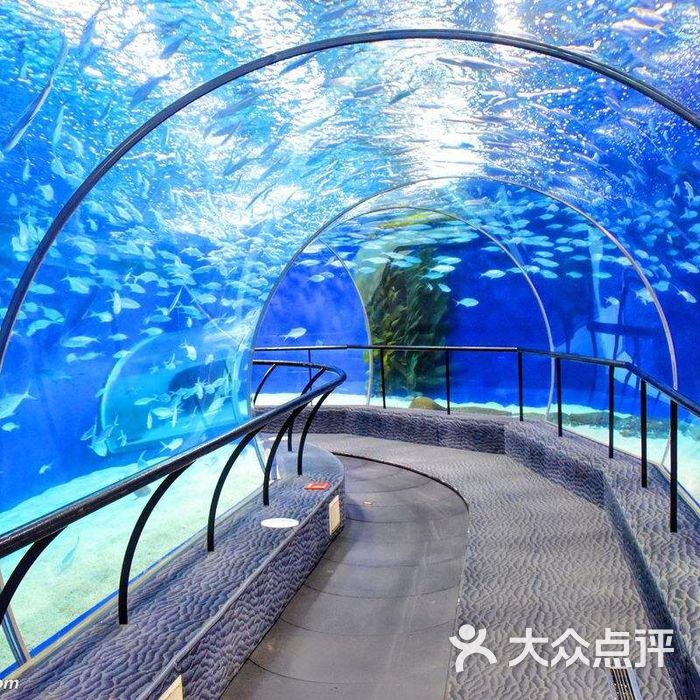 上海海洋水族馆