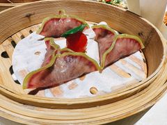 -点都德·毕德寮