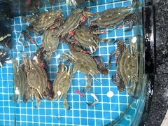 -渔码头食府(蓬莱阁店)