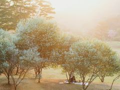 -风云岭森林公园