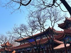 -渭滨公园