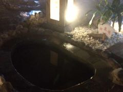 -河北霸州茗汤日月潭温泉