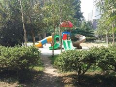 android_upload_pic-沈阳中山公园