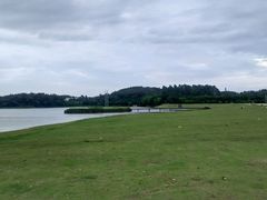 -佛山祈福仙湖酒店