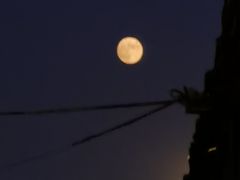 -百花深处胡同
