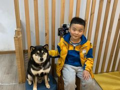 -柴迷FANS CLUB·柴犬狗咖·猫咖
